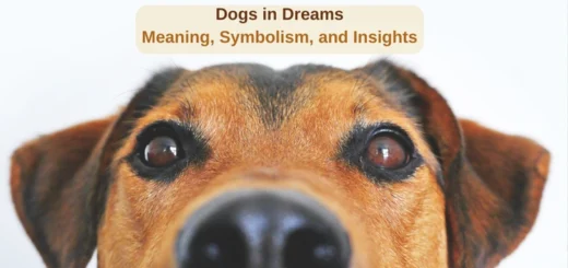 Dogs Dream Meaning