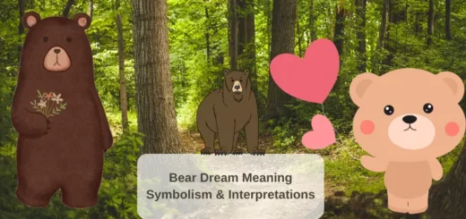 Bear Dream Meaning