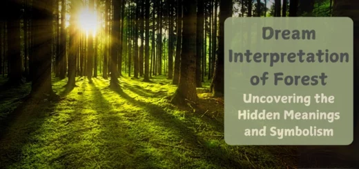 Dream Interpretation of Forests