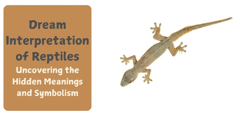 Dream Interpretation of Reptiles (Lizards)