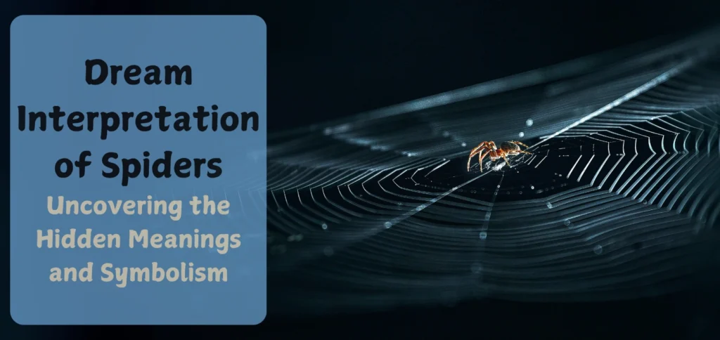 Dream Interpretation of Spiders