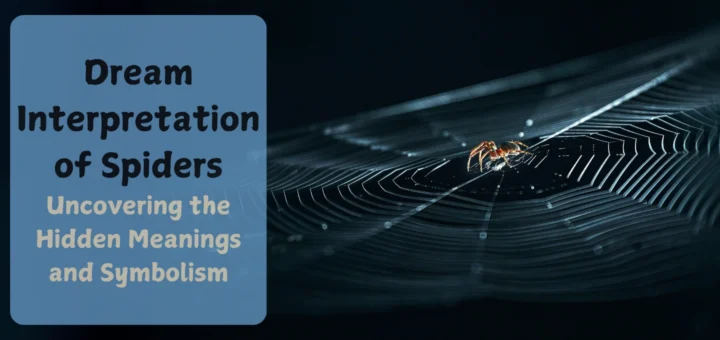 Dream Interpretation of Spiders