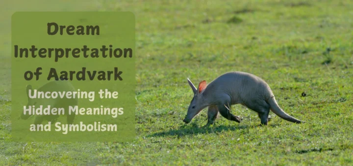 Dream Meaning of an Aardvark