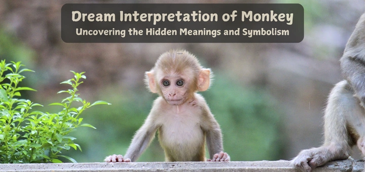 Dream Interpretation of Monkey