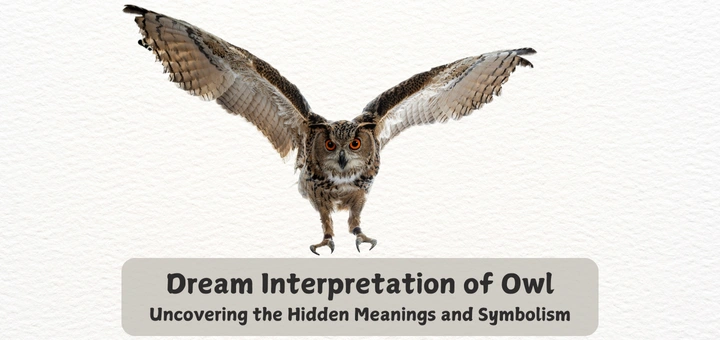 Dream Interpretation of Owl